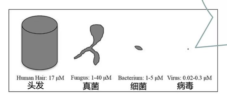 藏宝阁新区入口